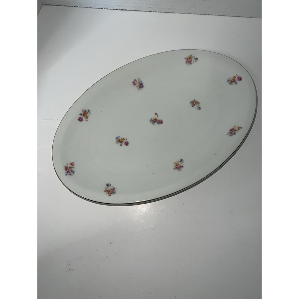Czechoslovakia China 12.50"‎ Oval Serving Platter Pink Rose Vintage